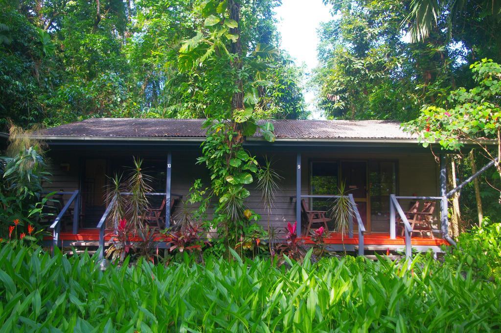 Heritage - In The Daintree
