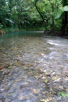 Heritage - In The Lodge Daintree