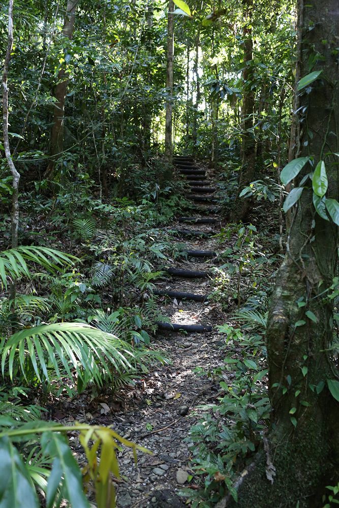 Heritage - In The Lodge Daintree