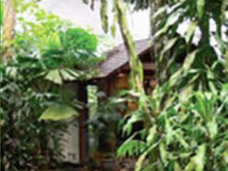 Lodge Heritage - In The Daintree