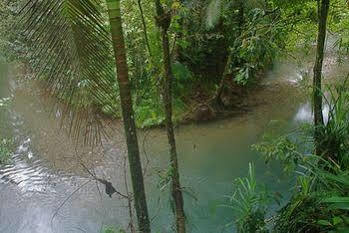 Heritage - In The Lodge Daintree