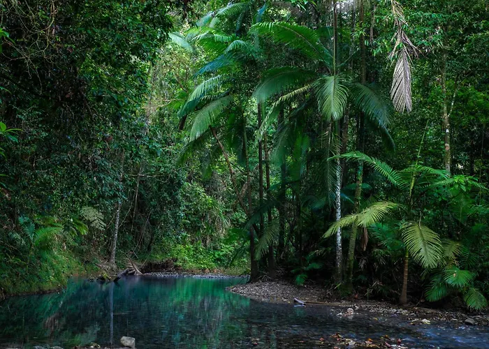 Heritage Lodge - In The Daintree