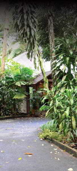Heritage - In The * Daintree