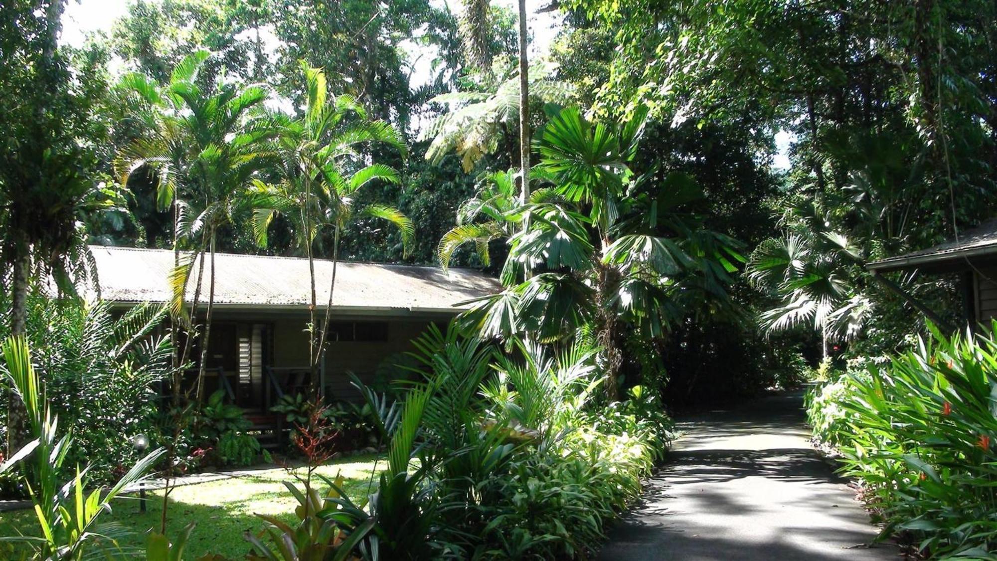 Heritage - In The Daintree